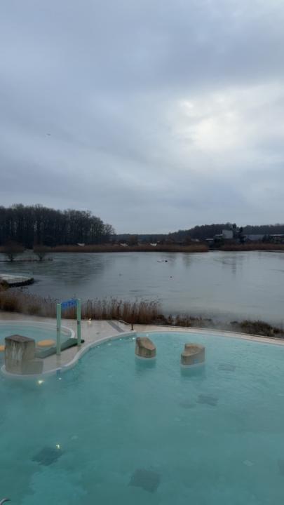 Maria-Lisa Daniellou