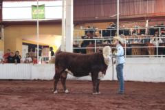Rafael Mercado