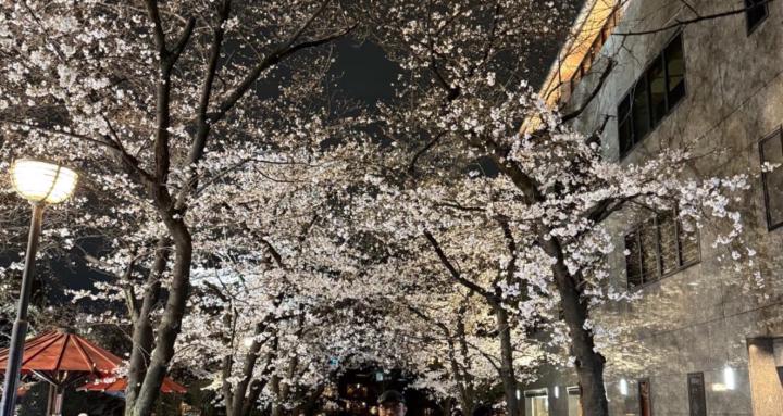 The Seekers of Truth