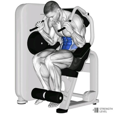 Which Exercise Will You Do Forever?