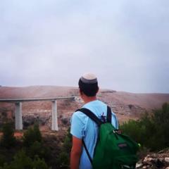 Dvir Bentolila