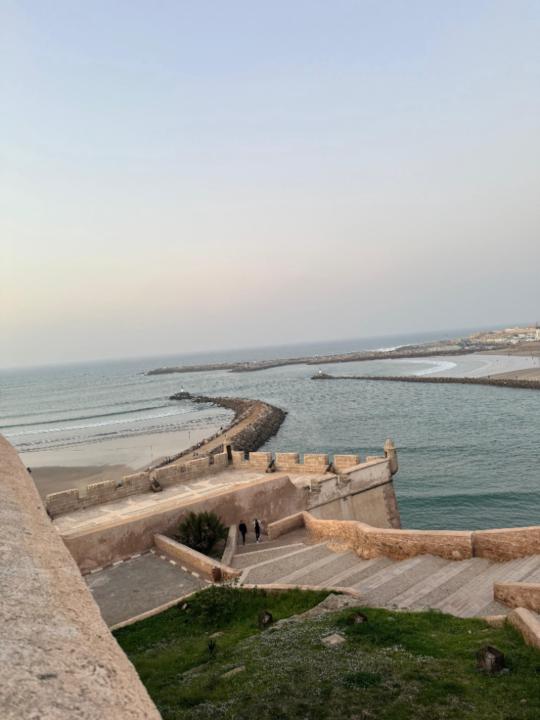 Zouhair Abayad