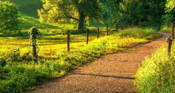 Stepping Forward in Grace