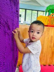 Phan Thị Phương Oanh