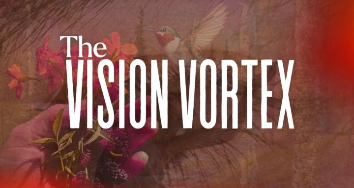 The Vision Vortex