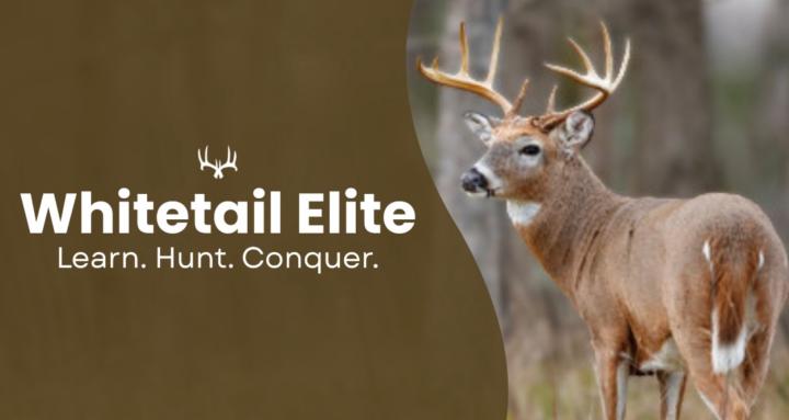 Whitetail Elite