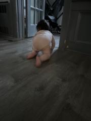 Pinchus Kohen