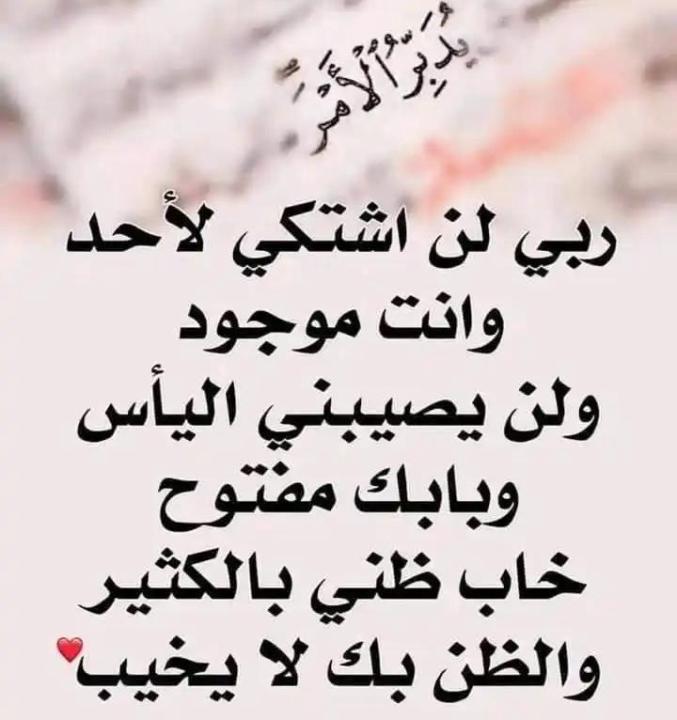 ابو العميد عمر الحيداني