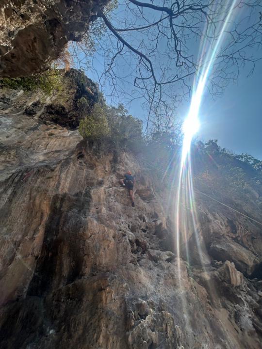 Mitchell Van der Hoeven