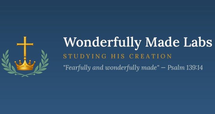 Wonderfully Made Labs