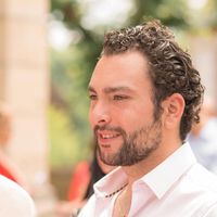 Damien Elbaz