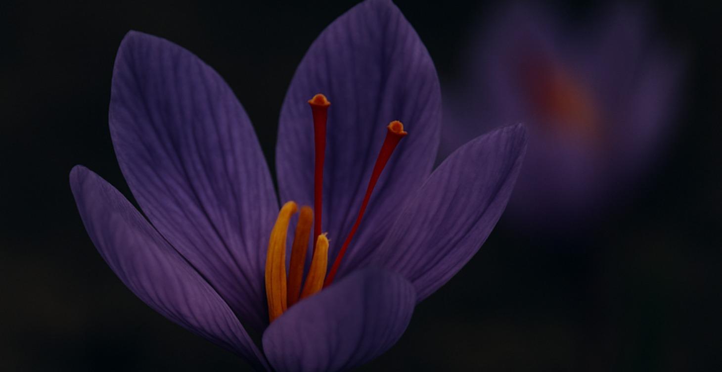 Kitchen as Temple: Foundations of Ritual Living