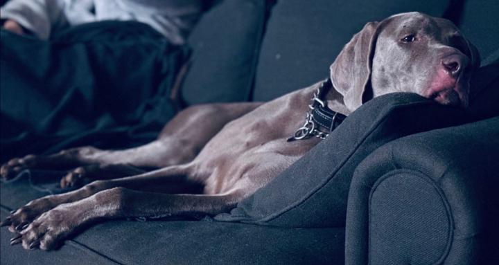 Coastal Deign Studio