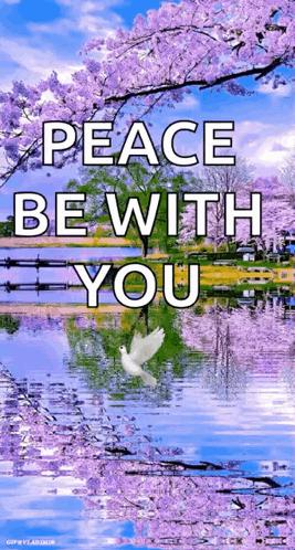 I choose peace and positivity.