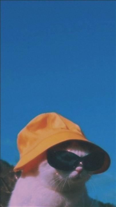 Albert Silsu