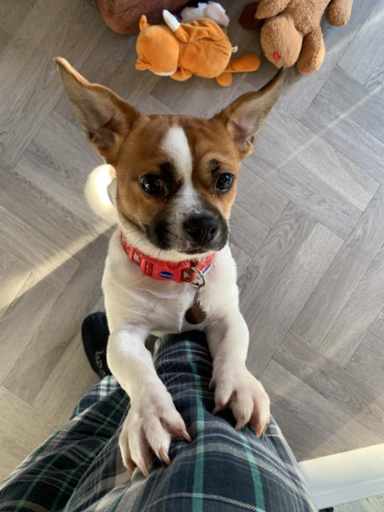 Fun! Cause life is more than work and we all need a bit of fun!