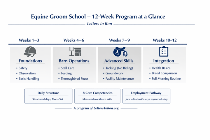 Program Curriculum