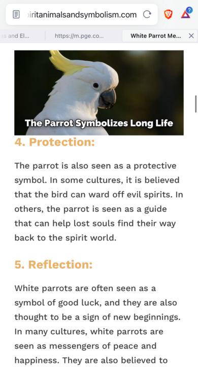 Sparrows and parrot spiritual meanings 