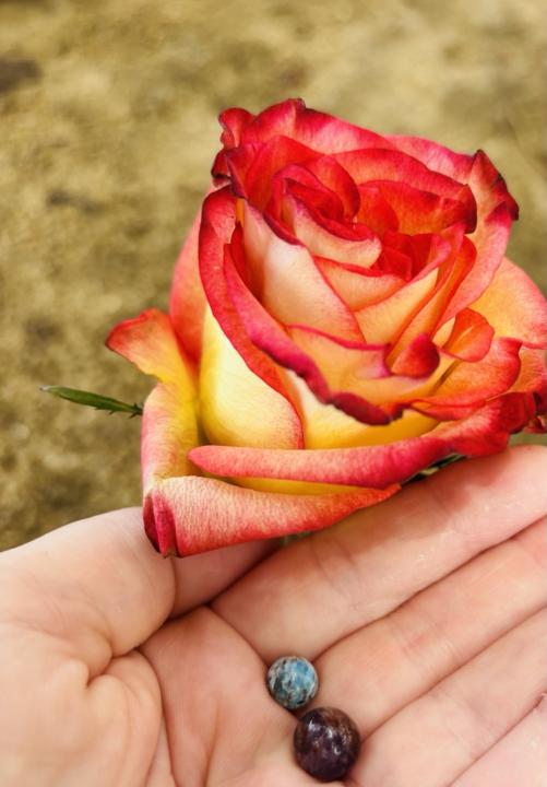 Grateful for your all