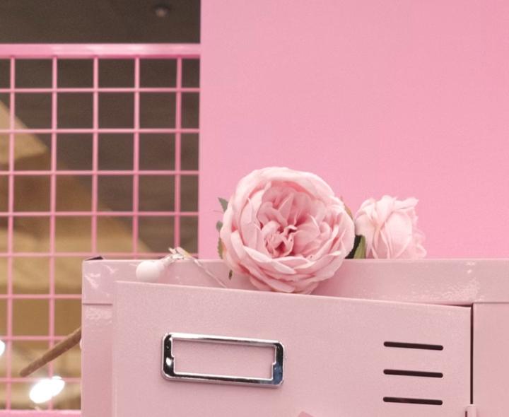 Cornelia Fanny Dehlin Eriksen