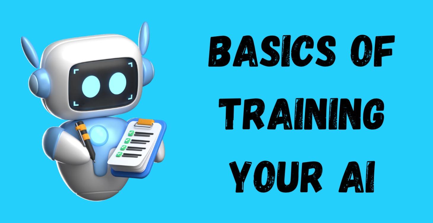 Basics of Training Your AI