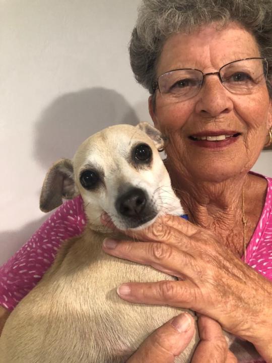 Norah Amaya Ballesteros