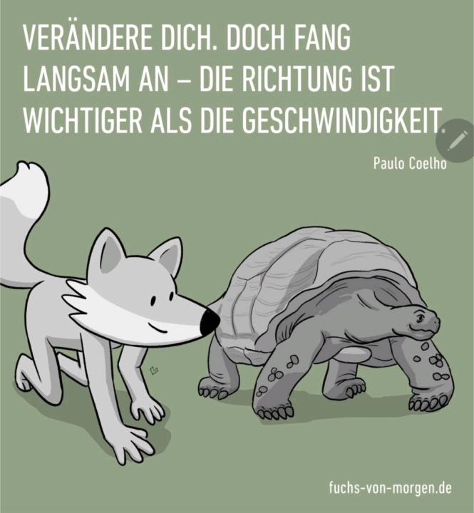 Welche Richtung liegt bei Euch aktuell an ?