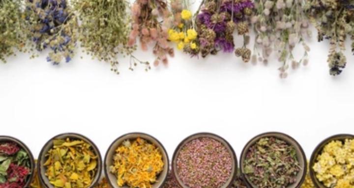 Norseal Herbal Cabinet