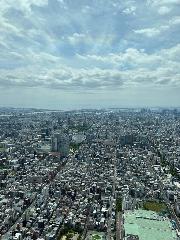 Test Test