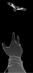 Mohamed Amine Aboubacar