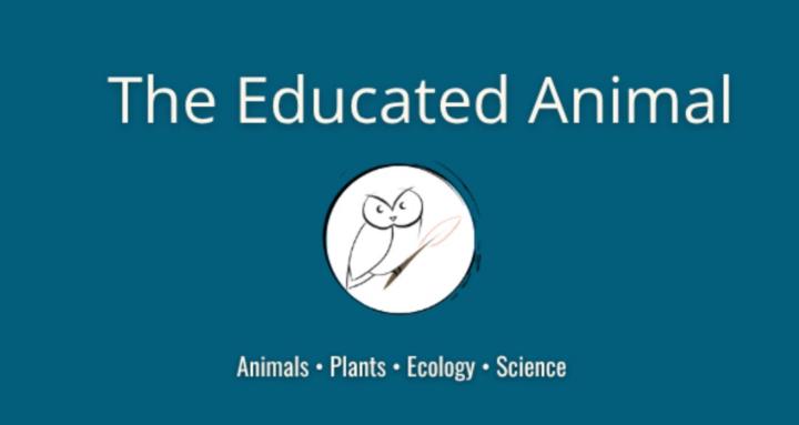 The Educated Animal