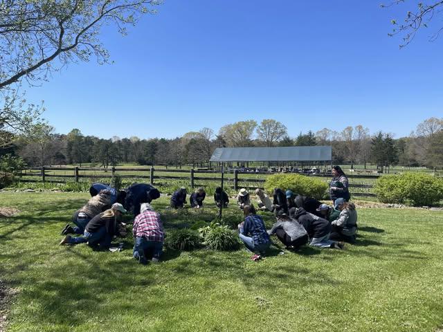 WL Advanced Herbalism Class