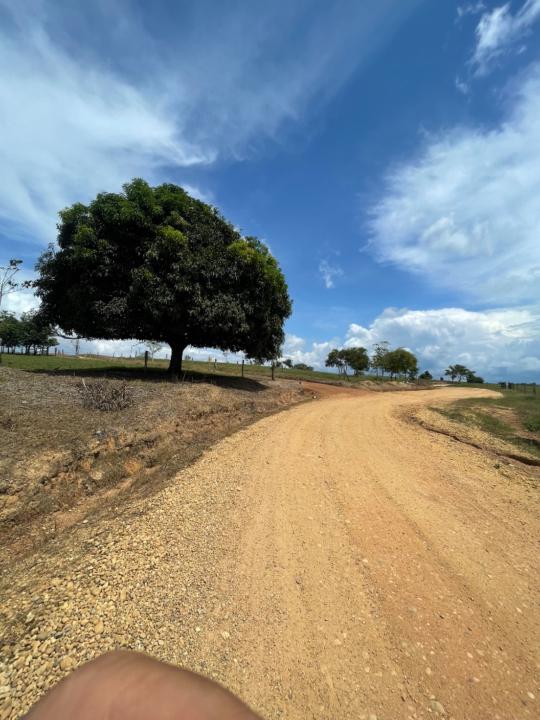 Leonardo Montealegre