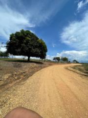 Leonardo Montealegre