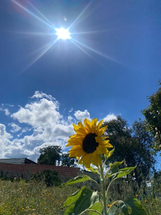 Paty Ortega González