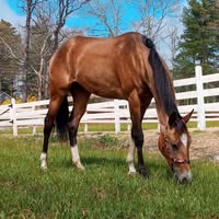 Terrie Von Arista Baer