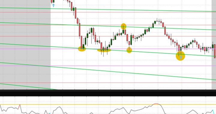 Transform My Trading