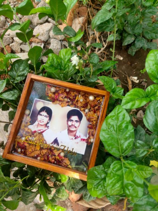 Kanimozhi Velu