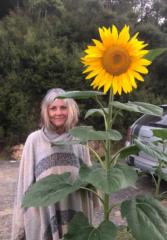 Linda Selfe-Louis
