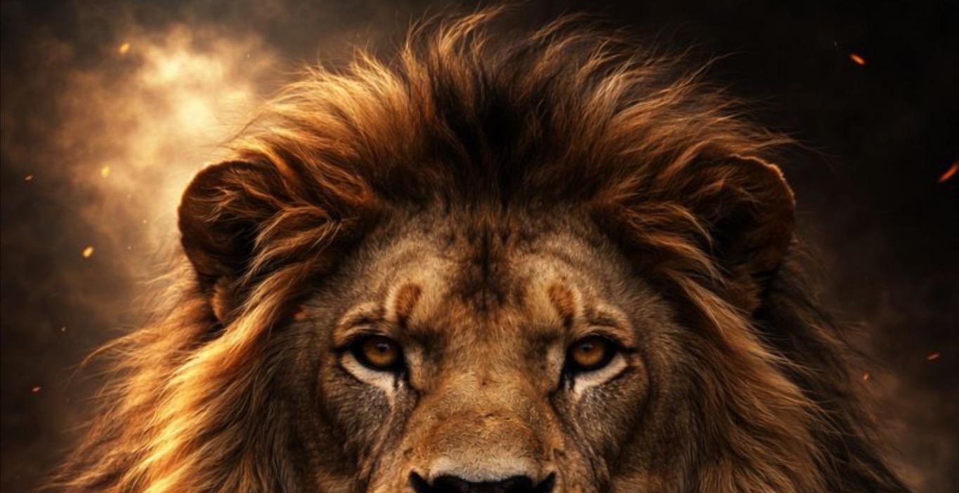 COURSE 6 — The Lion’s Mind