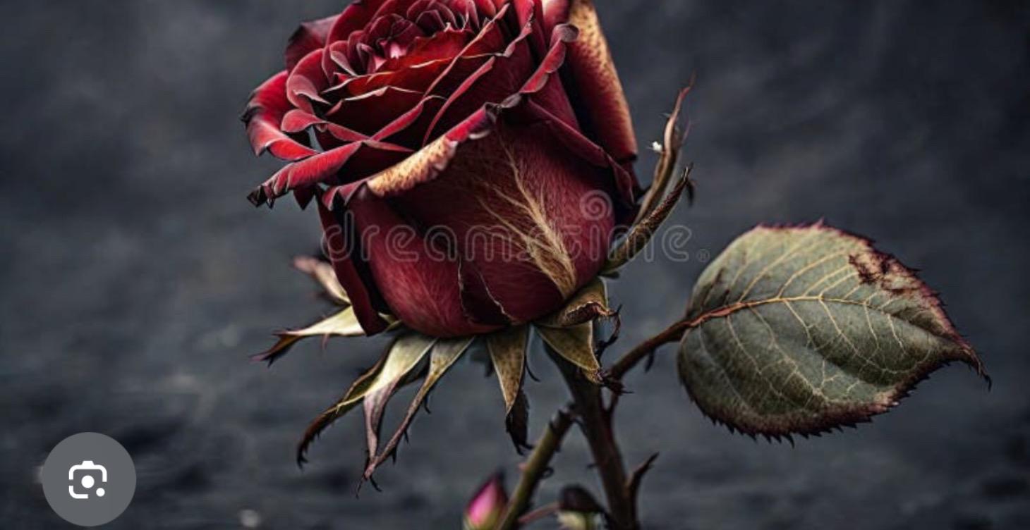 COURSE 5  Sexual Transmutation & Energy Mastery