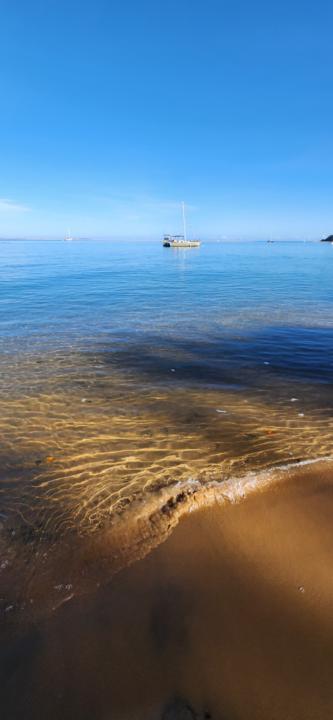 Speaking into upgrades!