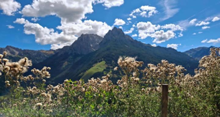 The Journey Down Unger