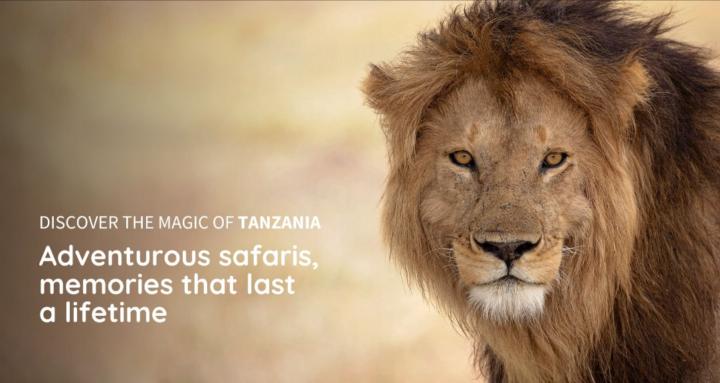 Firefly Safari Circle