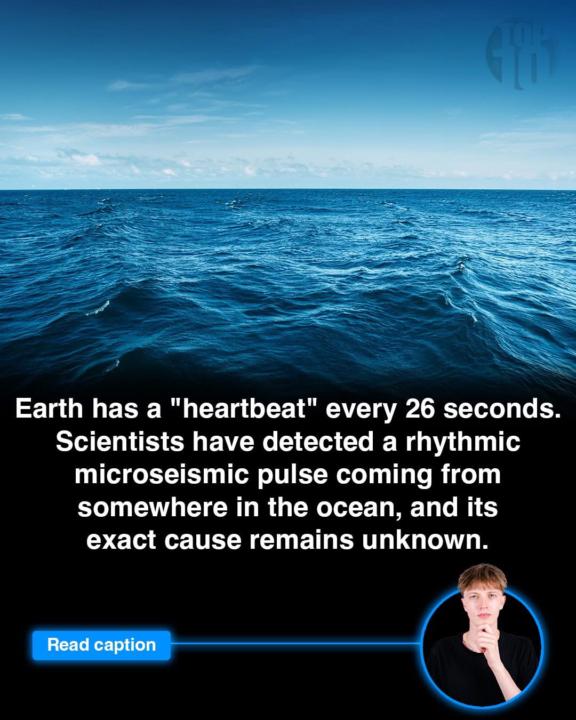 Resonance of Mid Tide