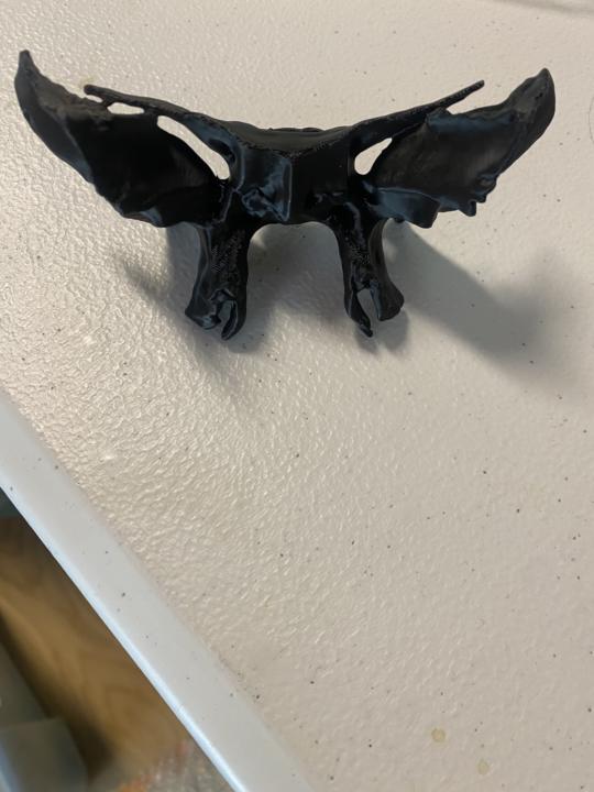 What is the difference between your sphenoid and this sphenoid . . . 