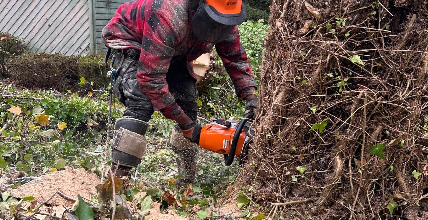 BASIC LUMBERJACK COURSE