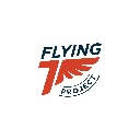 Flying 7 Project