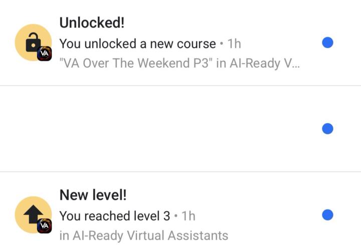 Level 3 