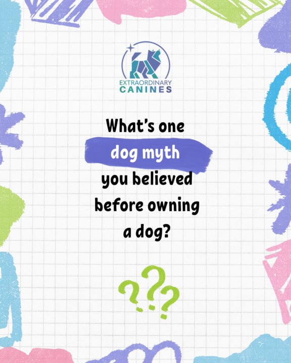 Dog Myths!